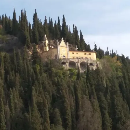 La Collina Dei Cipressi *